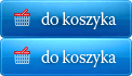 Dodaj do koszyka Jak stworzyć skuteczną stronę www?